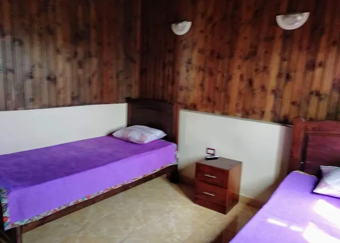 Roof House Apartment